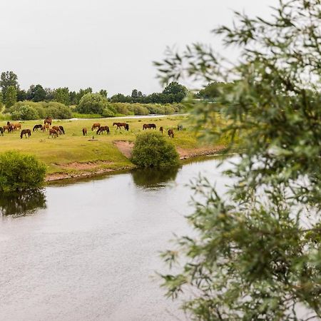 Thoeles*** Am Allerpark Verden Verden an der Aller Exterior foto