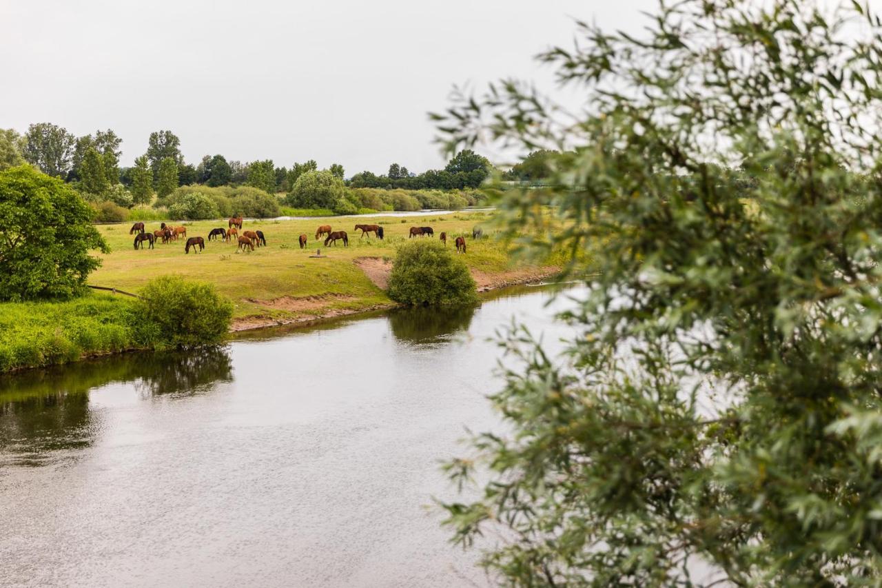 Thoeles*** Am Allerpark Verden Verden an der Aller Exterior foto